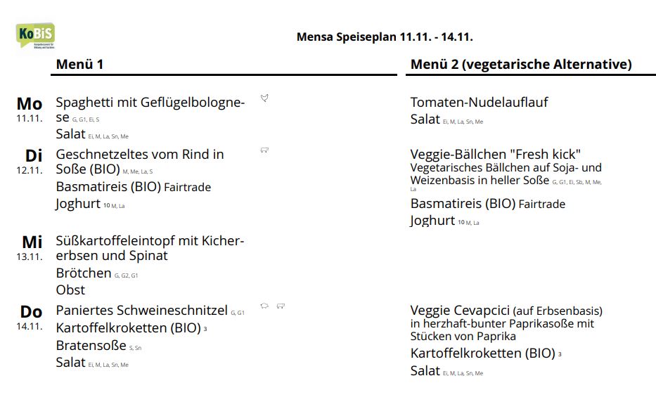 Speiseplan klein 11 11 24