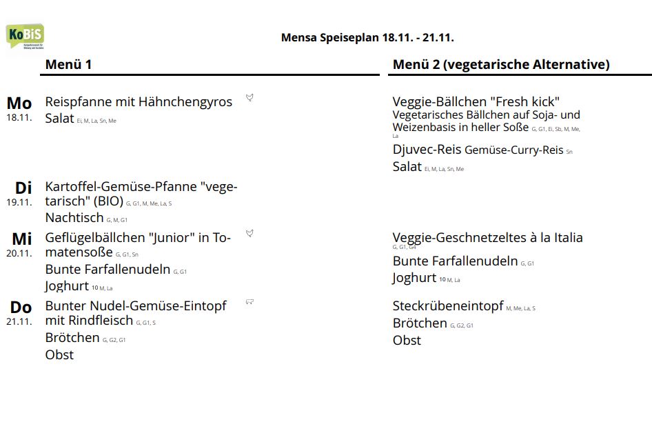 Speiseplan klein 18 11 24